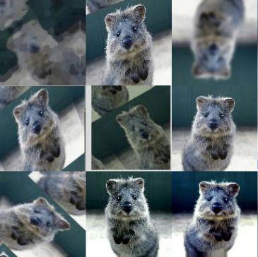 无人驾驶交通标志识别,图像识别无人驾驶