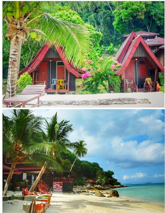 徒步探访马来西亚孤岛小村：医疗免费，孩子辍学家长坐牢