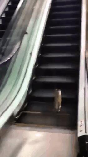 给你70万,拿一百万没有手机你愿意吗