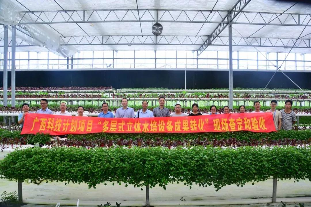 中农富玉大事记,中农富玉未来发展趋势