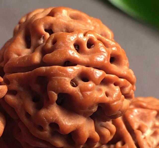 金刚菩提怎么保养不会裂,金刚菩提为什么会裂