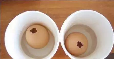 鸡蛋壳托盘手工作品创意,鸡蛋壳手工制作创意粘贴墙面画