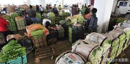批发蔬菜卖菜挣钱吗,蔬菜批发市场卖菜怎样入行
