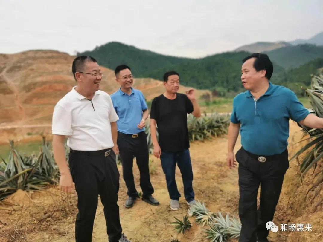 揭阳市长公示蔡淡群,揭阳干部公示蔡淡群