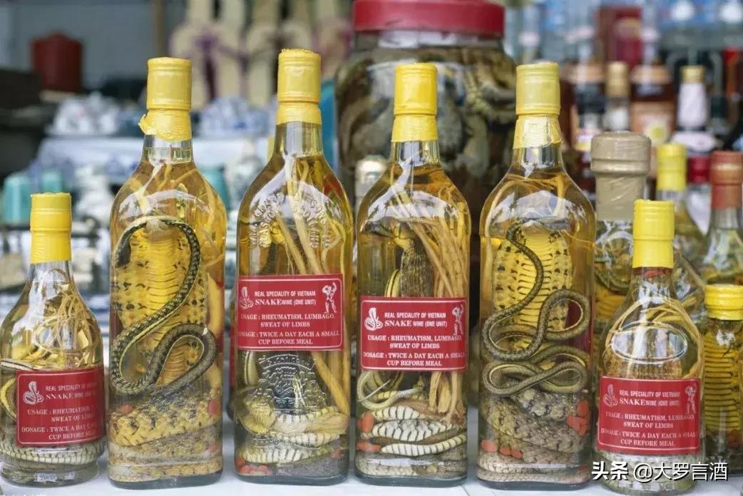 “仙龙后代”—越南