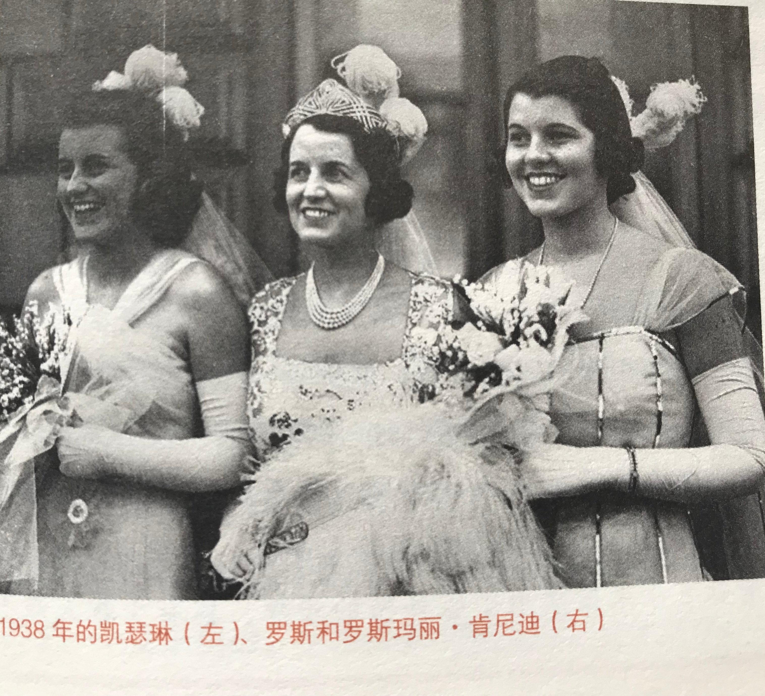 荒诞医学史纪录片全集,荒诞医学史全集