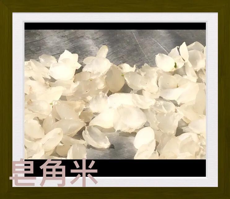 织金皂角米,单荚皂角米