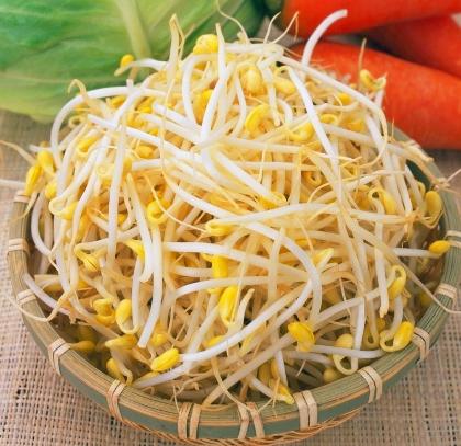 豆芽营养价值,豆芽功效和禁忌