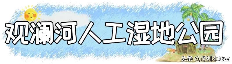 深圳完全免费的十大景点,深圳10大免费景点上集