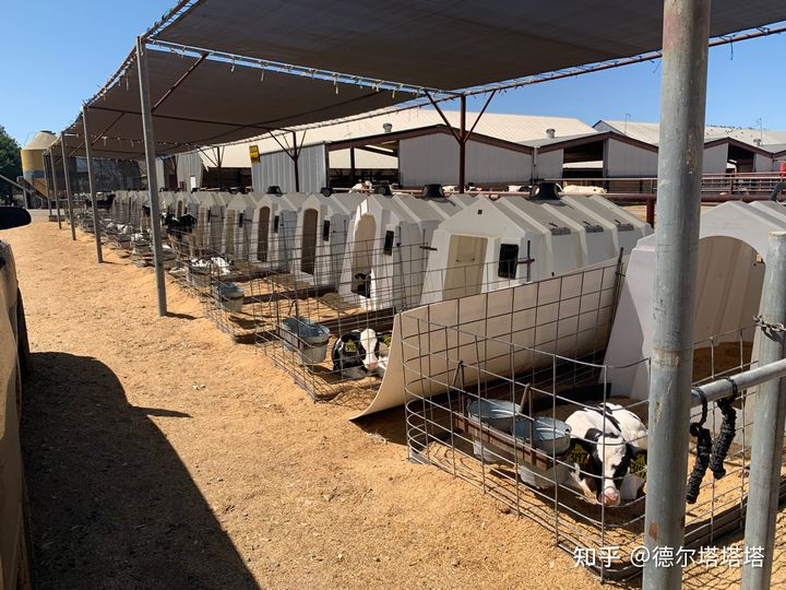 加州大学戴维斯分校和洛杉矶分校,加利福尼亚大学戴维斯分校qs