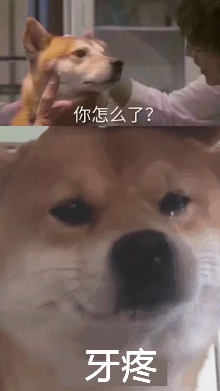 人民日报点评种植牙,人民日报修复牙齿