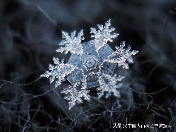 每一片飘落的雪花都是记忆,每一片飘落的雪花都是独一无二的