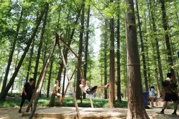 日照最美海边攻略,日照海滩自驾游推荐