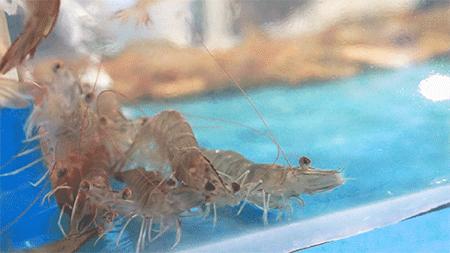 美食探店4人海鲜,美食探店大超市