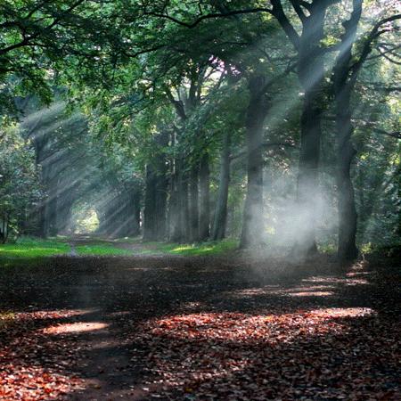 戴森空气净化风扇凉风效果测评,戴森无叶风扇跟其他无叶风扇比