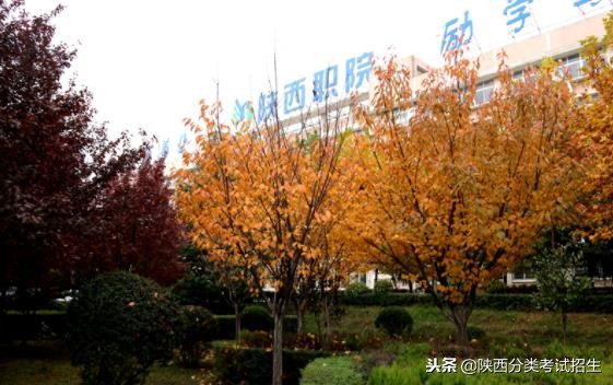 魅丽校园行之-陕西职业技术学院