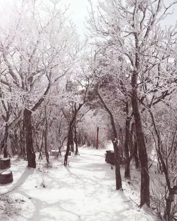 西安冬季周边一日游的绝佳去处,西安冬天适合带孩子玩的地方