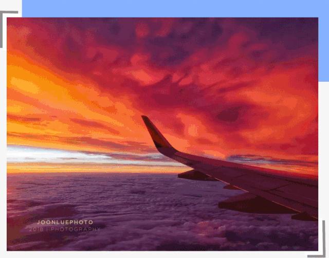 嘈杂闹市里的无声世界,全杭州最安静的小店!超治愈~