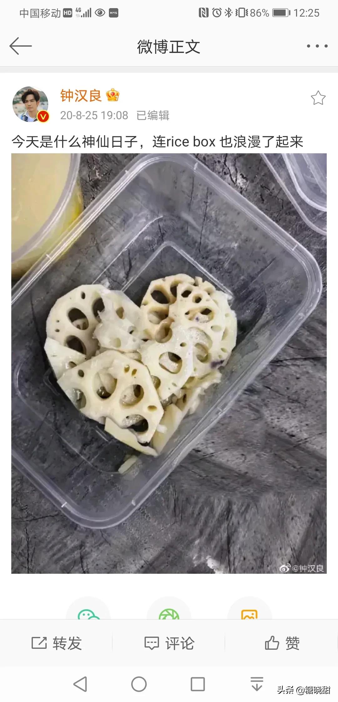 钟汉良何以琛经典语录,钟汉良的何以笙箫默好看吗