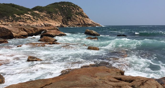 去香港必须吃什么,去香港玩哪里吃得多