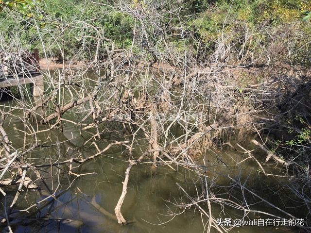 连城冠豸山游玩几小时最佳,连城冠豸山旅游全攻略