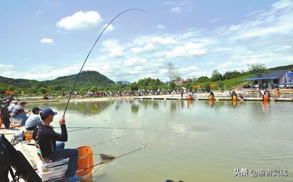 春天鲫鱼和鲤鱼在水里的生活习性,鲤鱼的饲养技术有哪些方法
