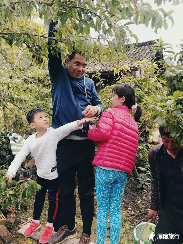 茶马古道重镇旅行,茶马古道旅行