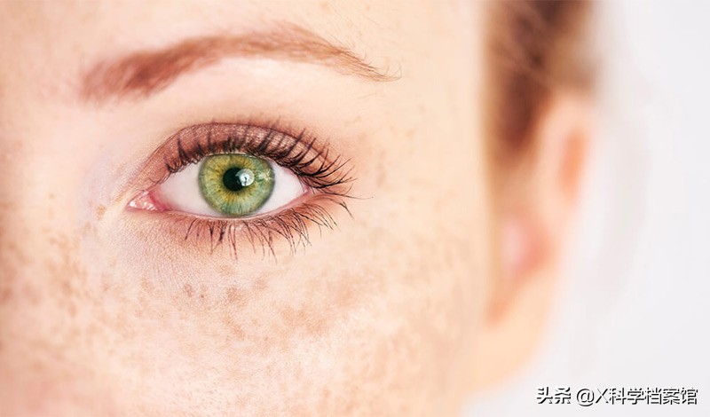 让你大开眼界的生物视频,大开眼界的新物种