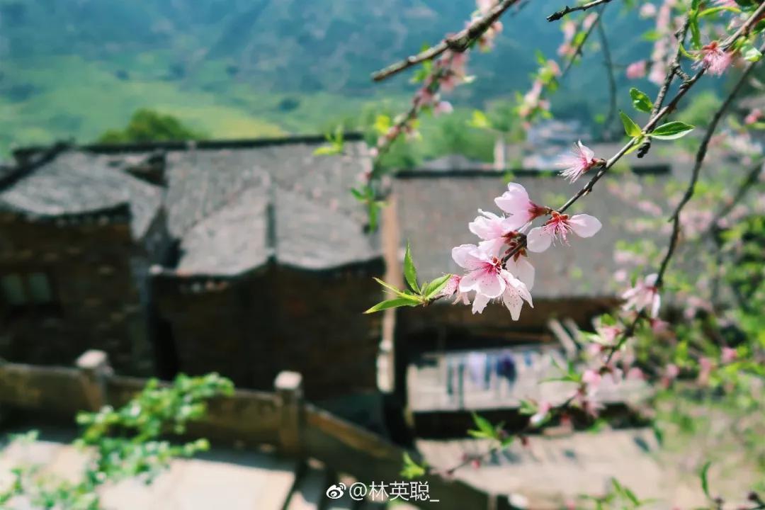 婺源油菜花一日游旅游攻略,婺源油菜花旅游攻略