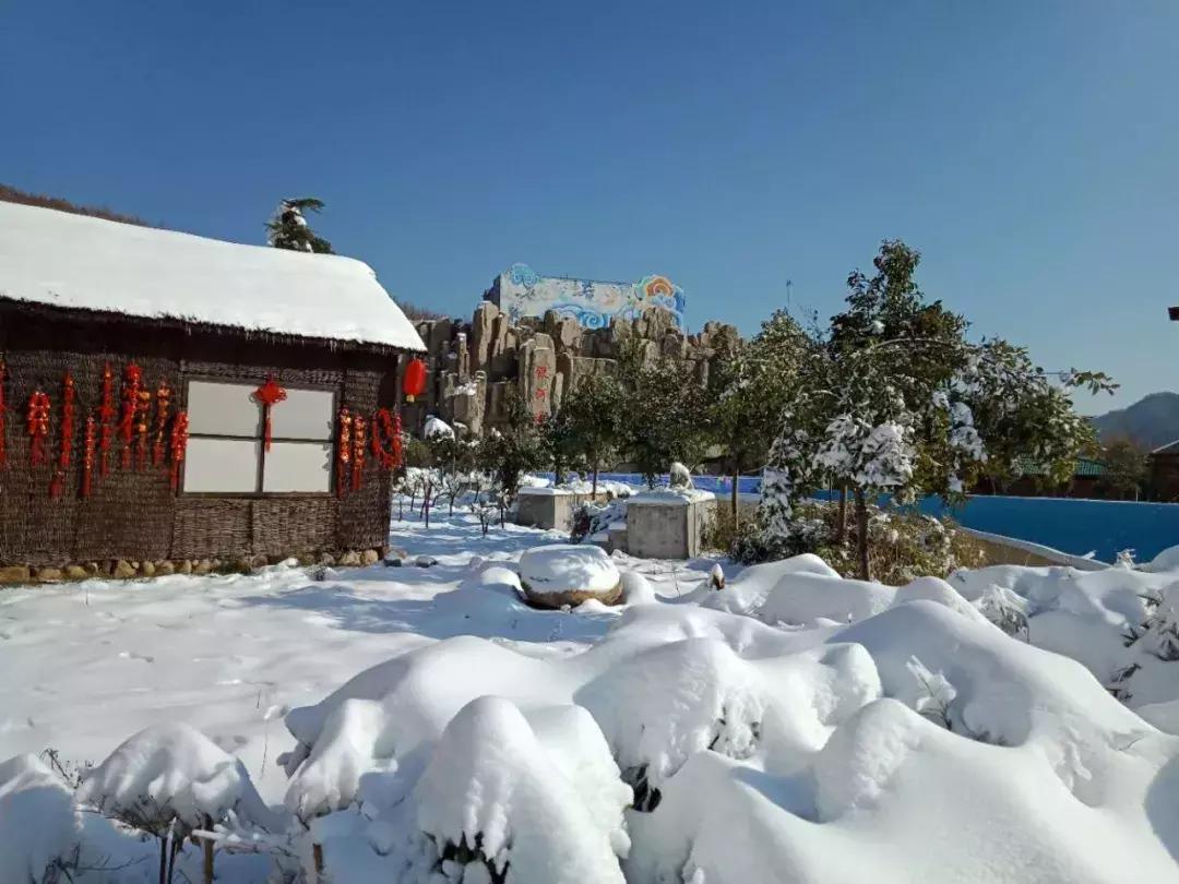 墨子古街观光小火车,中原雪乡晚上
