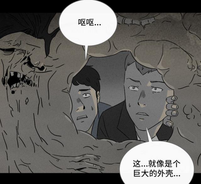 韩国整容漫画,韩国整容漫画完整版