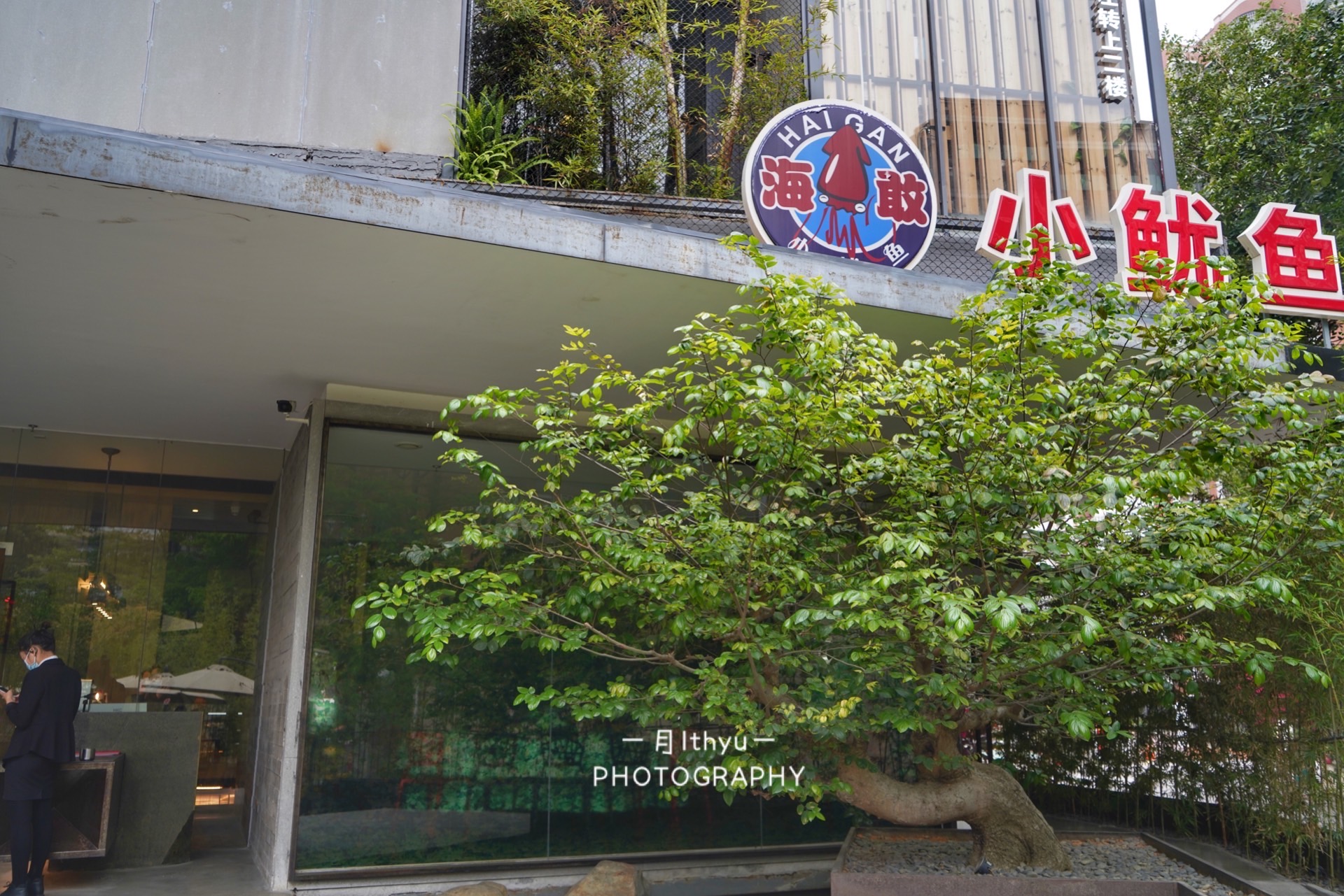 鱿鱼炒花菜最好吃做法大厨,鱿鱼炒青椒炒花菜