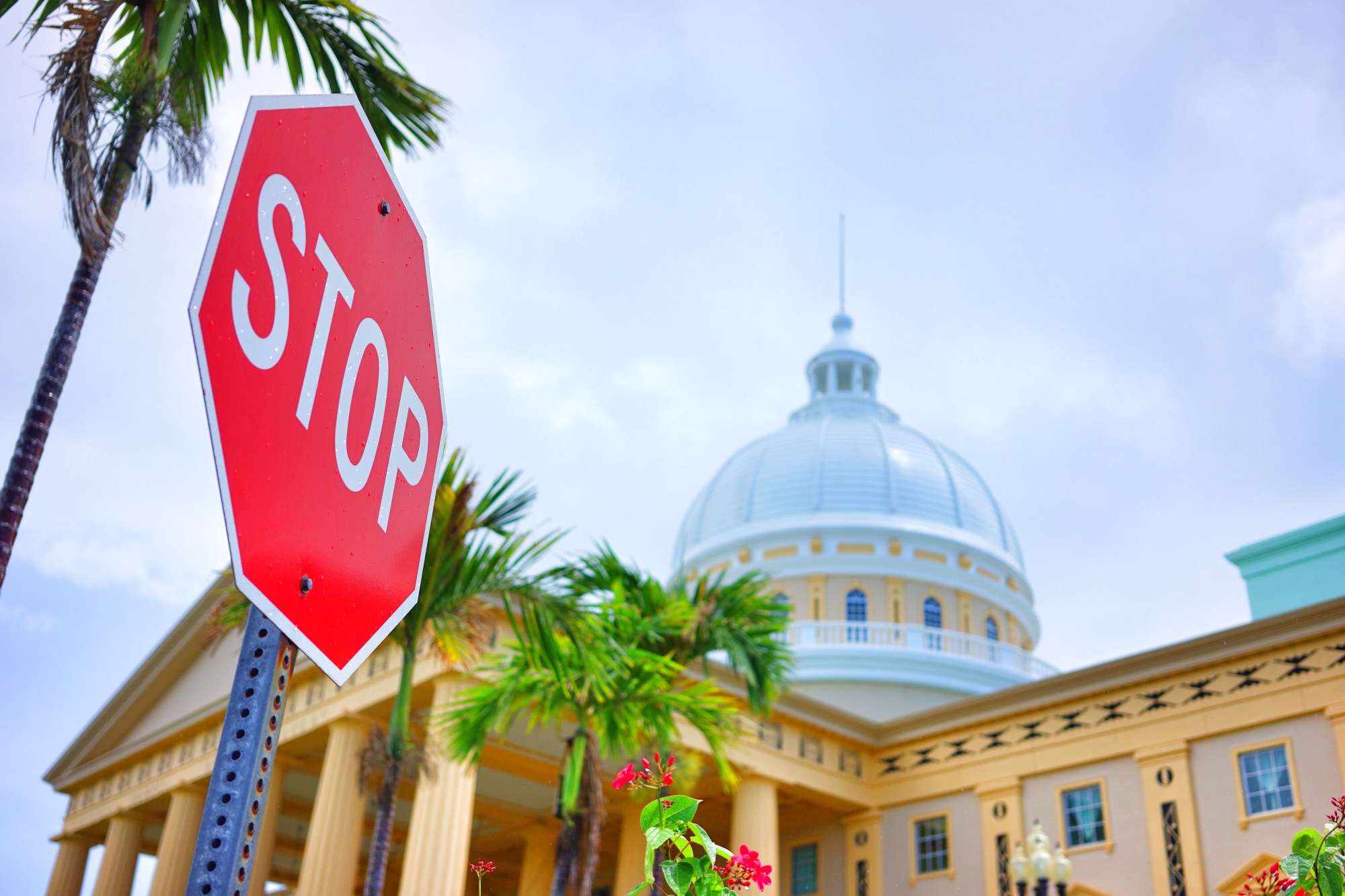 一定是特别的缘分——帕劳，再遇见「周若雪Patty」·上