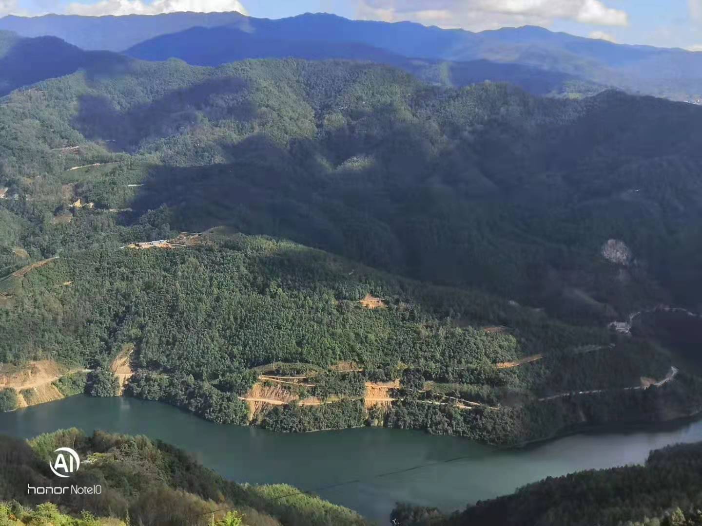 最好的冰岛普洱茶多少钱,冰岛普洱茶最新价格表