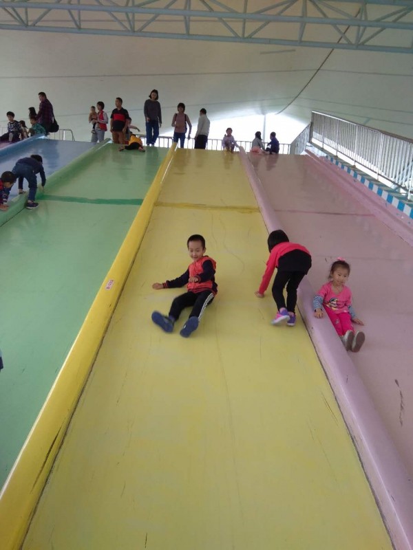 森林花海亲子游攻略,森林公园亲子游推荐