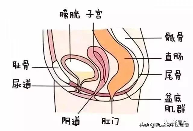 产后妈妈切忌卧床,产后妈妈们应该避免什么