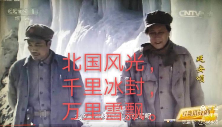 *园春沁**·雪毛*东泽**