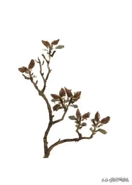 你嫉妒那个用古风出图的同事？我也嫉妒