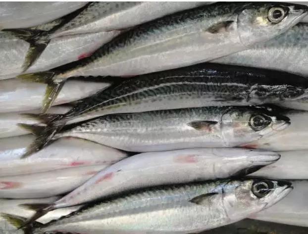 防城港怎么吃海鲜便宜不被坑,防城港干货海鲜有哪些