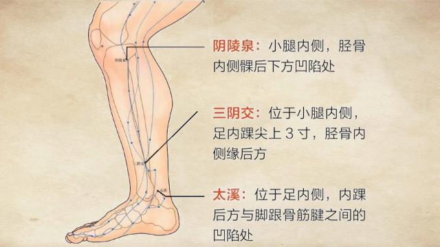 腰肌劳损艾灸哪个穴位最有效,腰肌劳损艾灸哪个穴位图