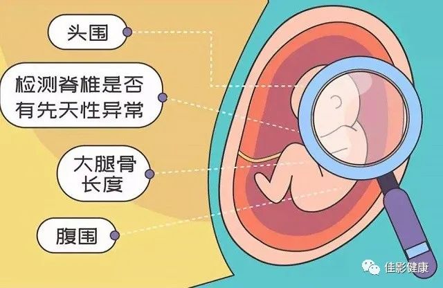 孕期产检项目和时间表大全,香港产检时间表和项目