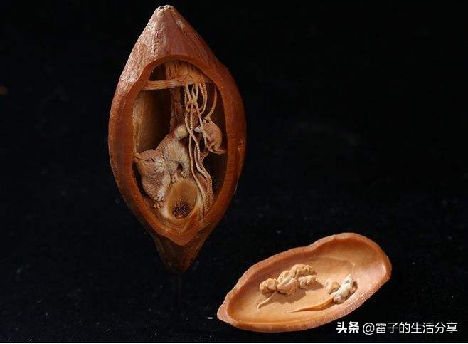 文玩菩提子鉴赏,橄榄核镶嵌菩提怎么样