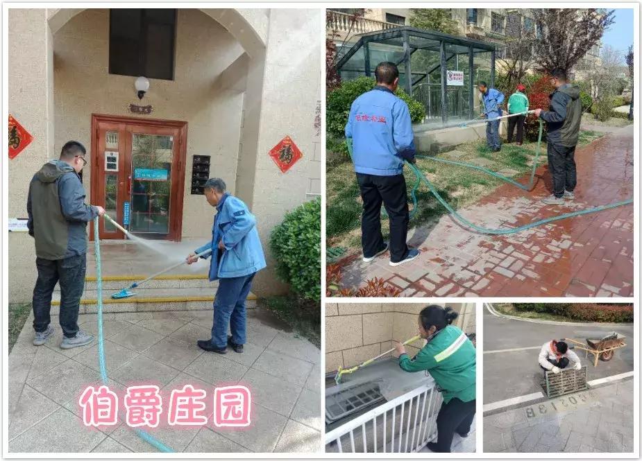 创城有我,创城有我秦皇岛