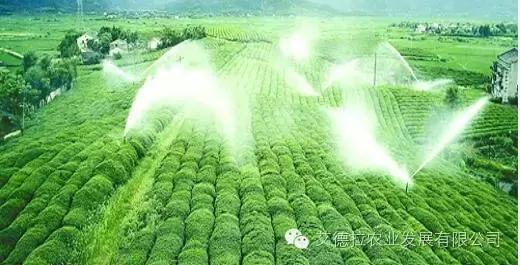 农业水溶肥发展趋势,水溶肥料行业现状和前景