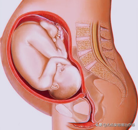 生过孩子女生体验分娩痛,生过孩子的女人老是腰痛