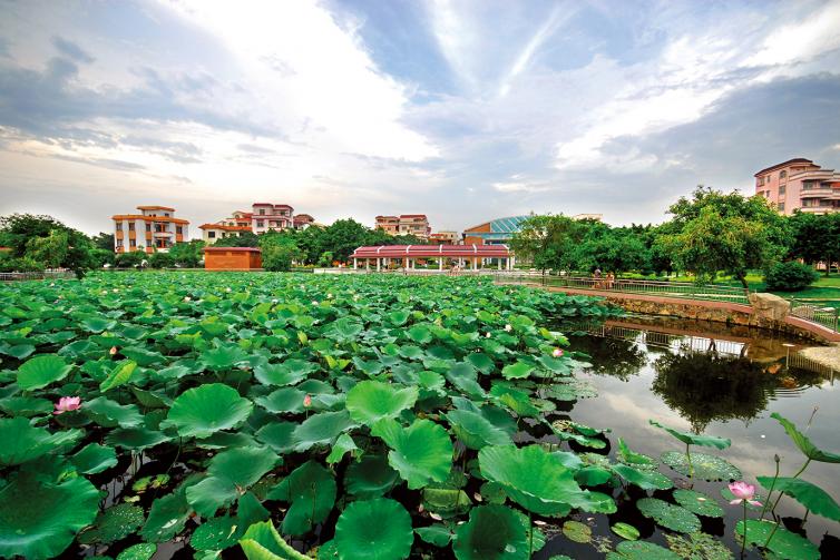 广东佛山自驾游最佳路线图,广东佛山自驾游十大最优景点