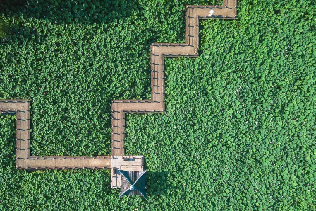 武汉免费一日游打卡,武汉旅游必去打卡十大景点