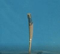 髋关节置换如何抗感染,骨科髋关节置换术后注意事项