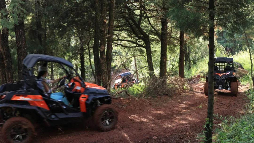 无法离昆,就地过年!昆明亲子游推荐路线重磅来袭!花样过牛年