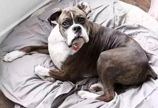 10个变废为宝的小妙招装饰你的家,家居改造变废为宝